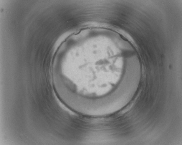 X0000075891247200610151743