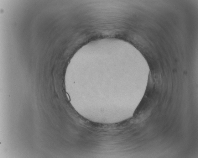 X0000075891249200610151742