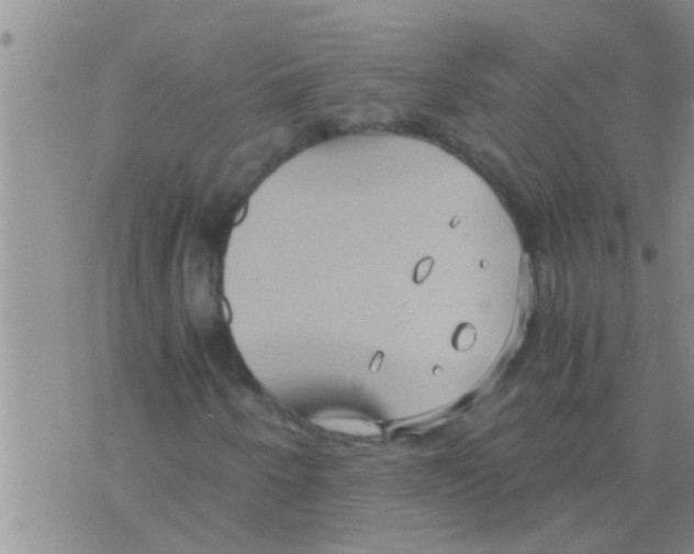 X0000075891250200610151742