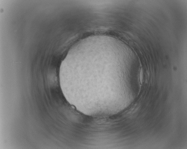 X0000075891252200610151742