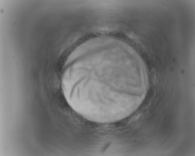 X0000075891253200610151742