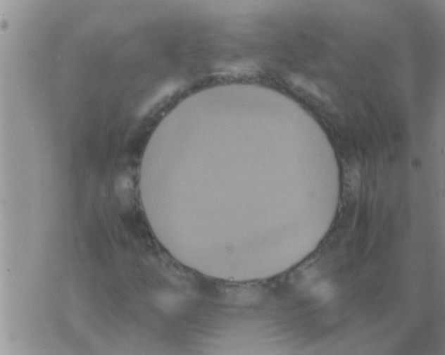 X0000075891254200610151742