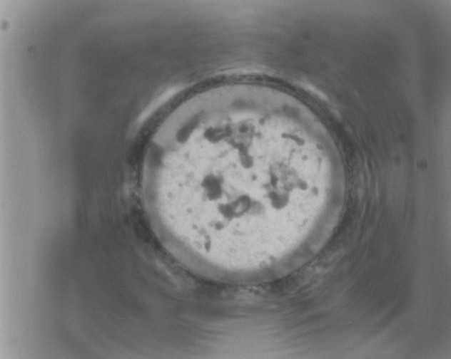 X0000075891255200610151742