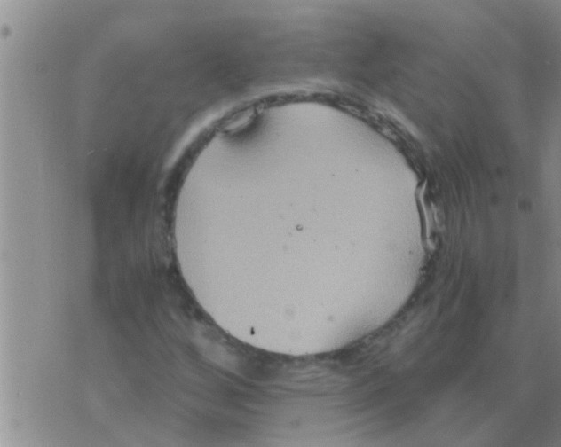 X0000075891256200610151742