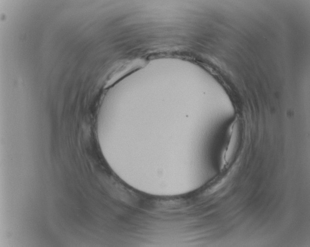 X0000075891257200610151742