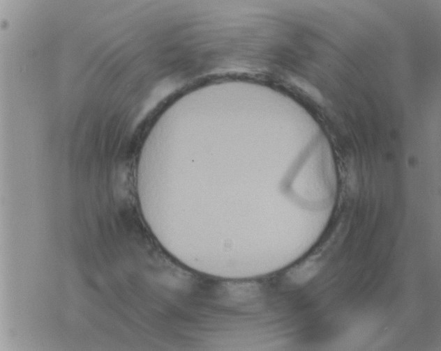 X0000075891258200610151742