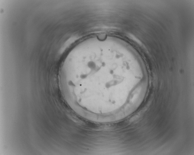 X0000075891259200610151742