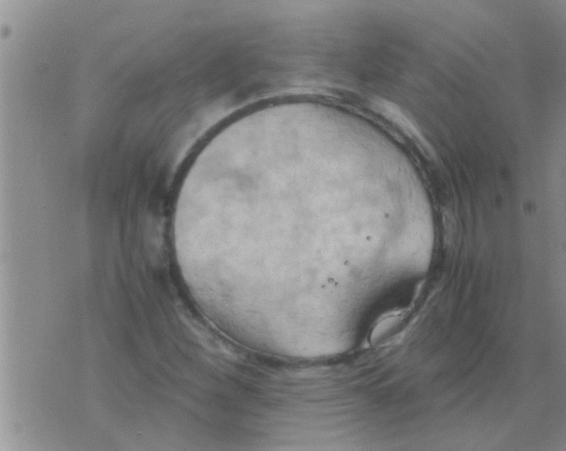 X0000075891260200610151742