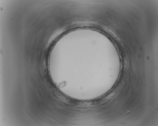 X0000075891261200610151742