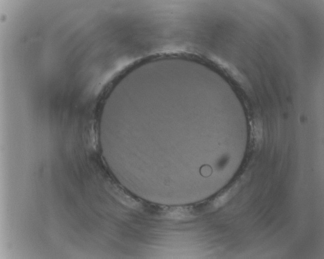 X0000075891262200610151742