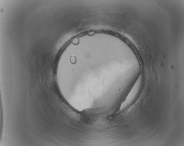 X0000075891263200610151742