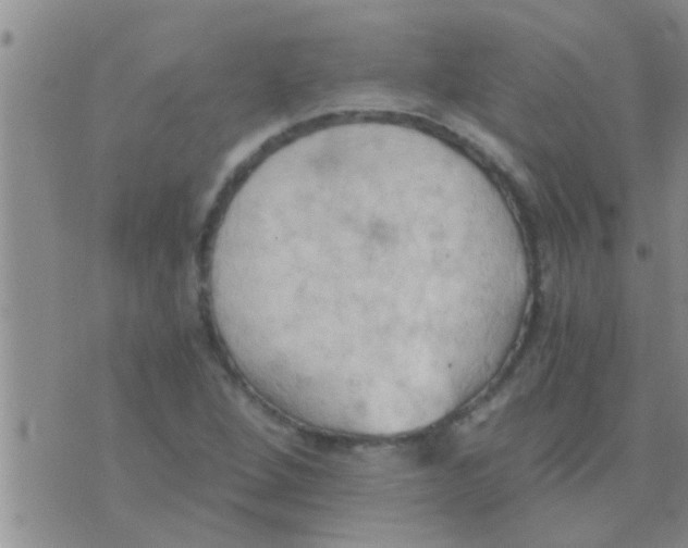 X0000075891264200610151742