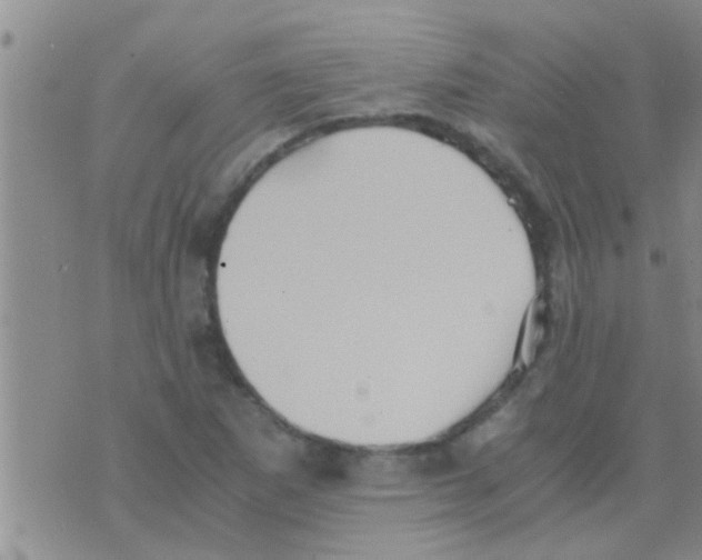 X0000075891265200610151742