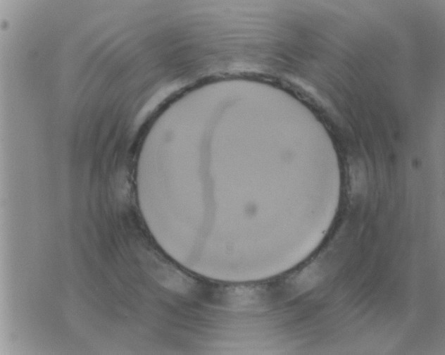 X0000075891266200610151742