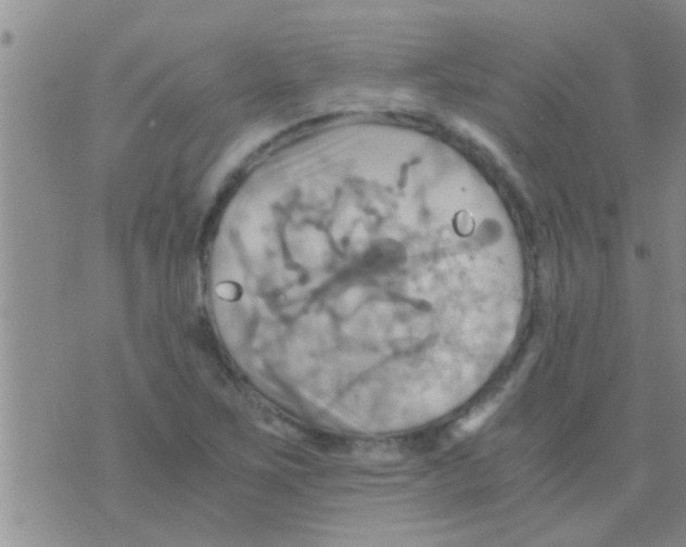 X0000075891267200610151742