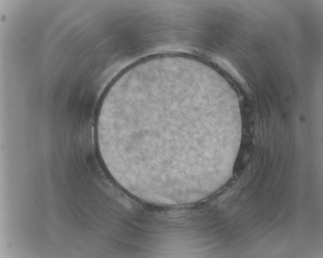 X0000075891268200610151742