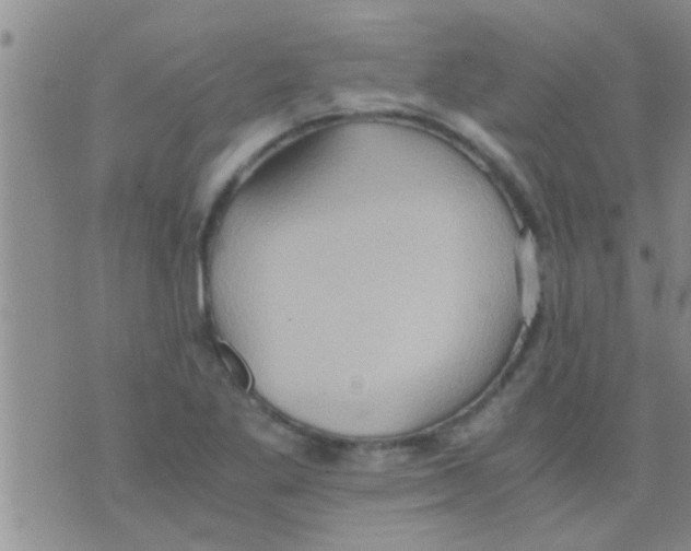 X0000075891269200610151742