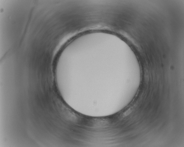 X0000075891270200610151742