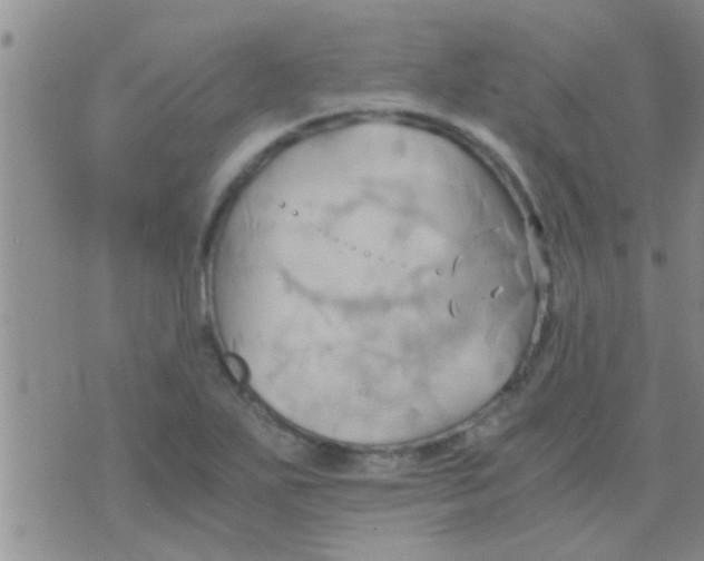 X0000075891271200610151742