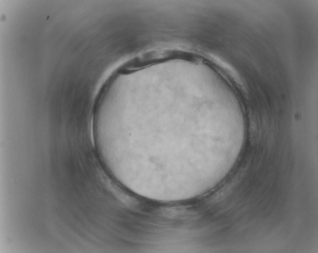 X0000075891272200610151742