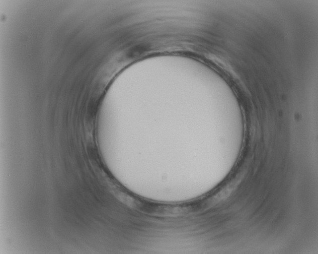 X0000075891273200610151742