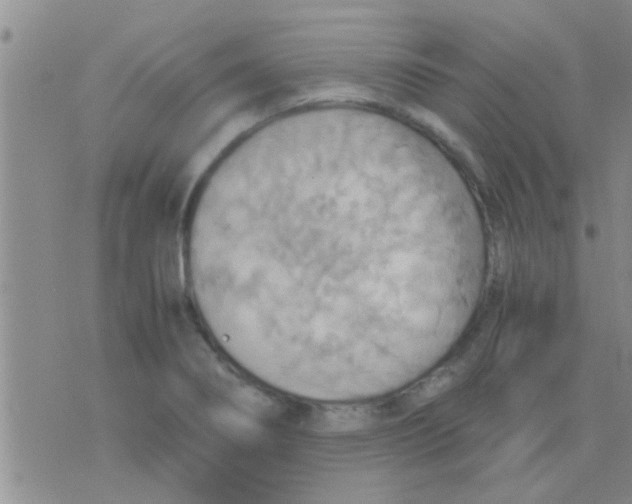 X0000075891274200610151742