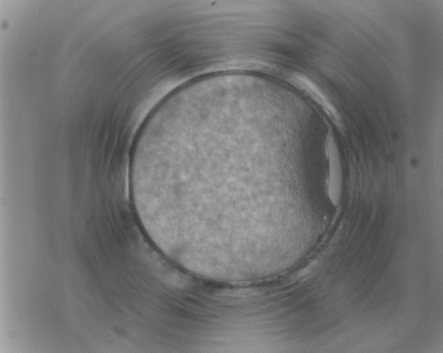 X0000075891276200610151742