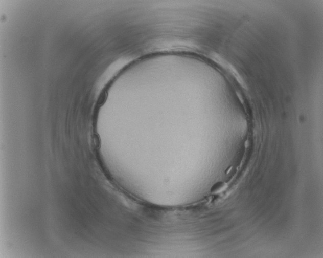 X0000075891277200610151742