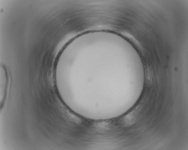 X0000075891278200610151742