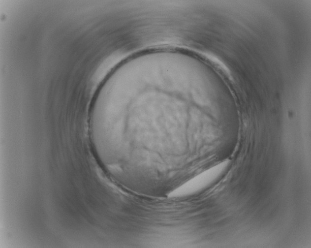 X0000075891279200610151742