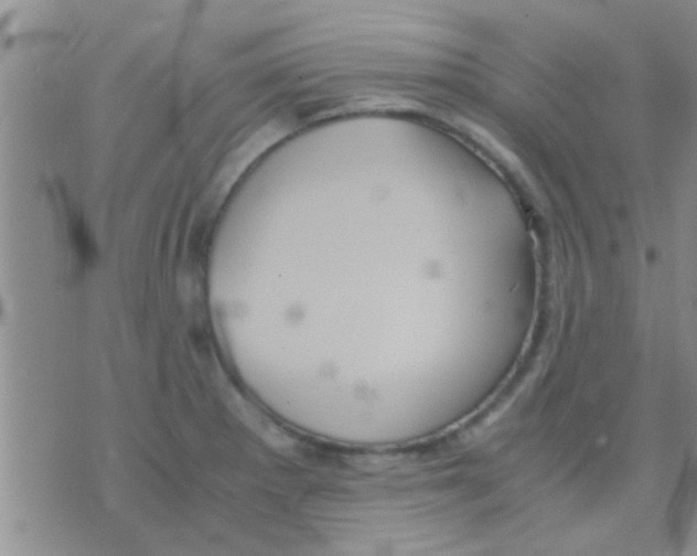 X0000075891281200610151742