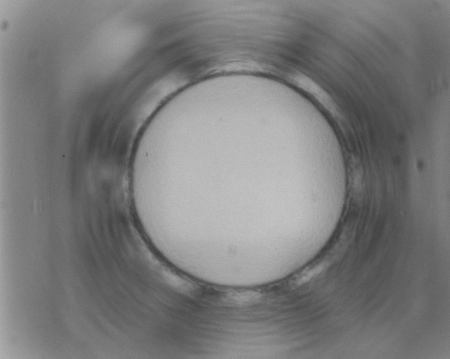 X0000075891282200610151742