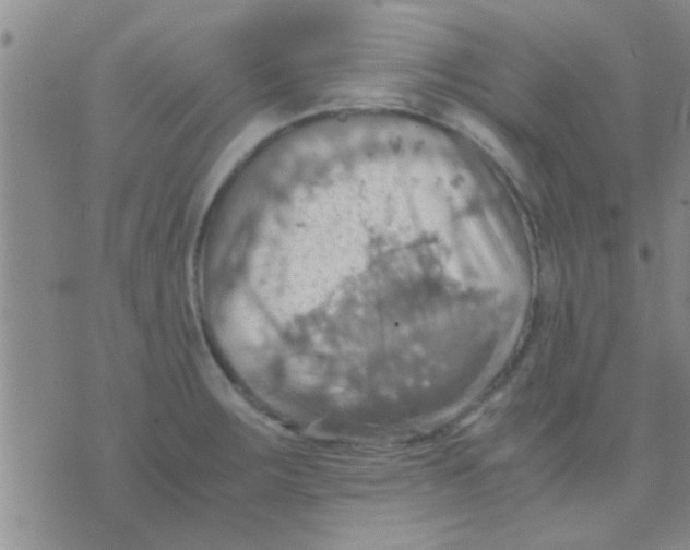 X0000075891283200610151742