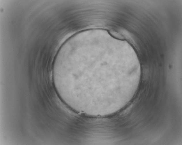 X0000075891284200610151742