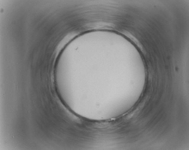 X0000075891285200610151742