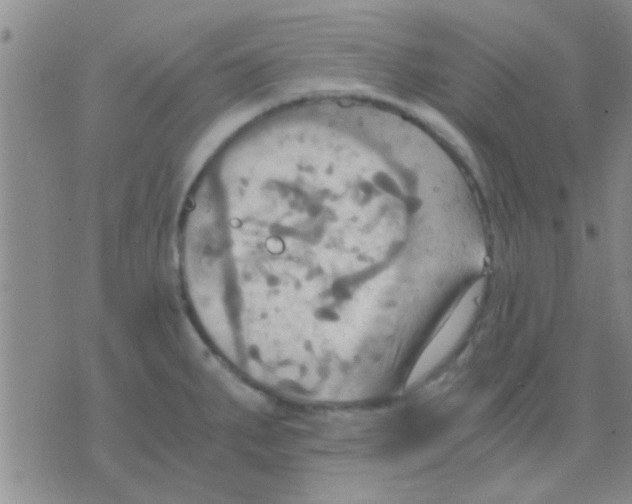 X0000075891287200610151742