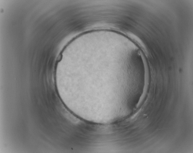 X0000075891288200610151742