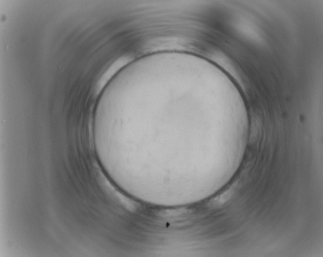 X0000075891290200610151742