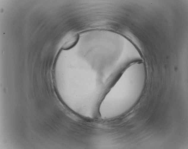 X0000075891291200610151742