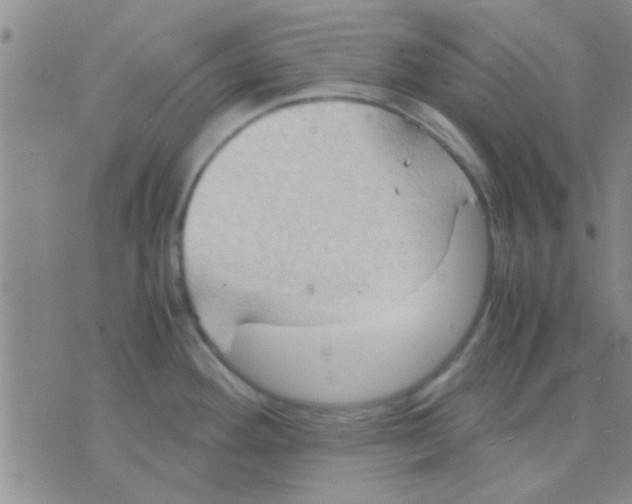 X0000075891292200610151742