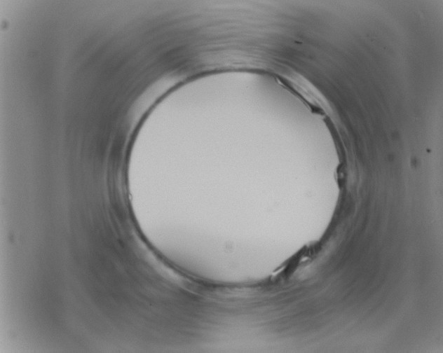 X0000075891293200610151742