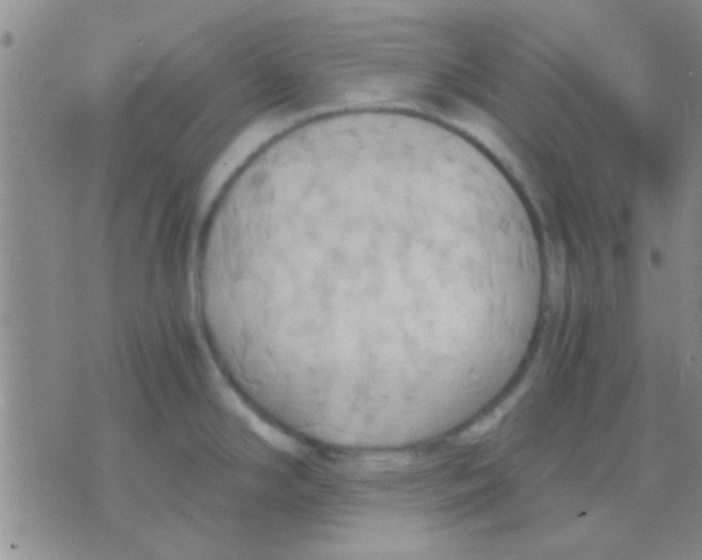 X0000075891294200610151742