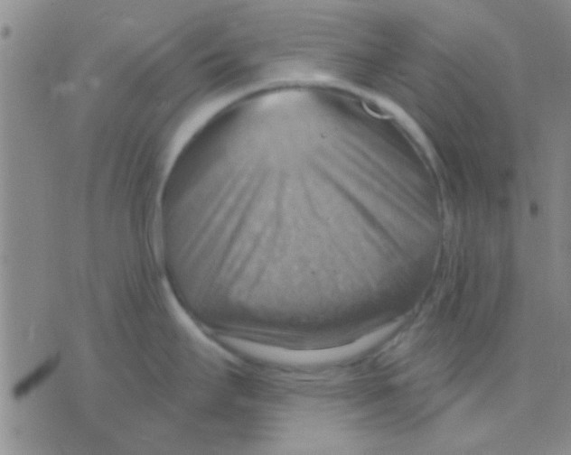 X0000075891295200610151742