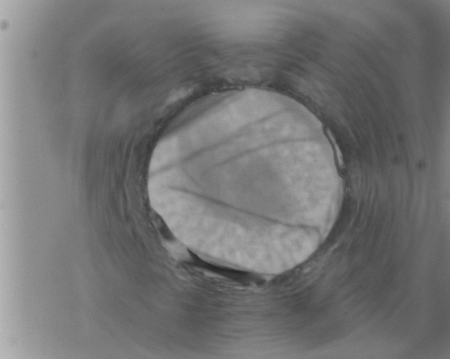 X0000075891297200610151741