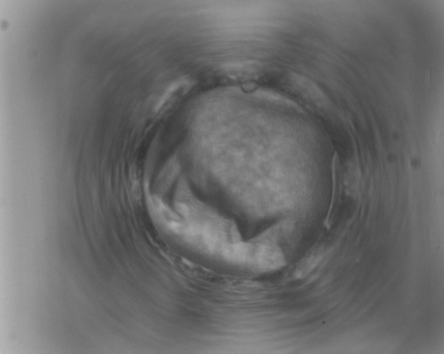 X0000075891298200610151741