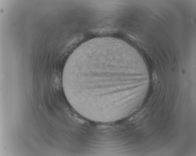 X0000075891300200610151741