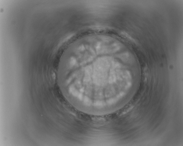 X0000075891302200610151741