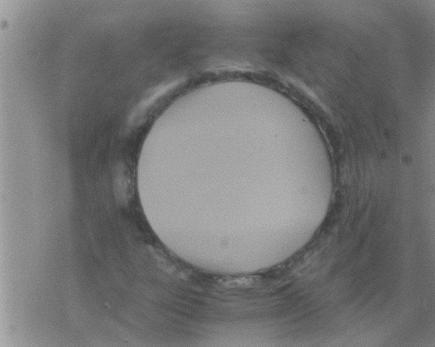 X0000075891303200610151741