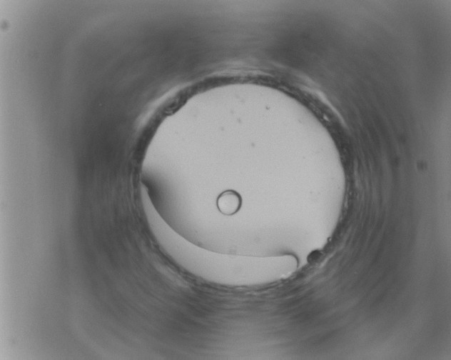 X0000075891304200610151741