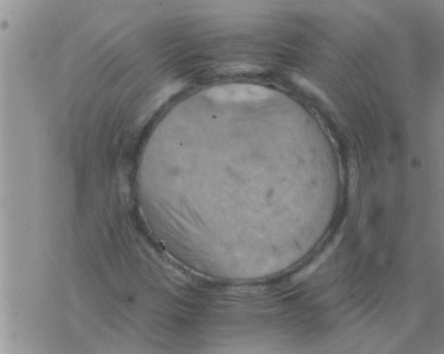 X0000075891305200610151741